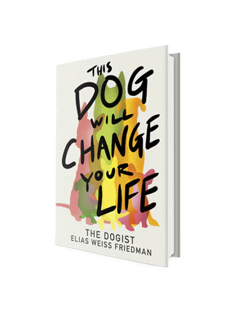 This Dog Will Change Your Life